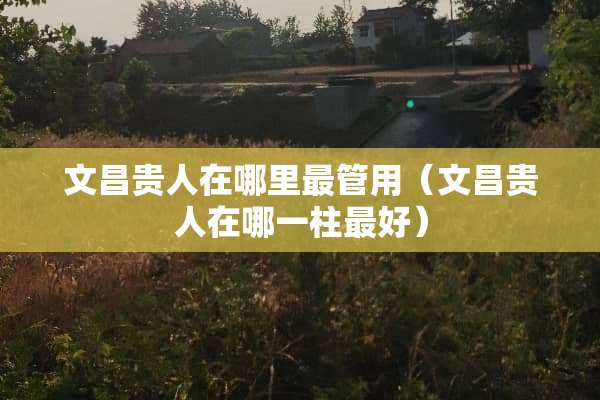 文昌贵人在哪里最管用（文昌贵人在哪一柱最好）