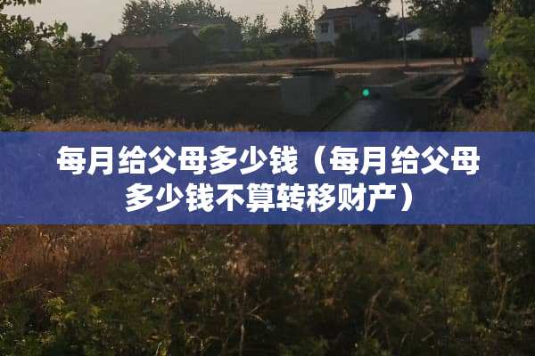 每月给父母多少钱（每月给父母多少钱不算转移财产）