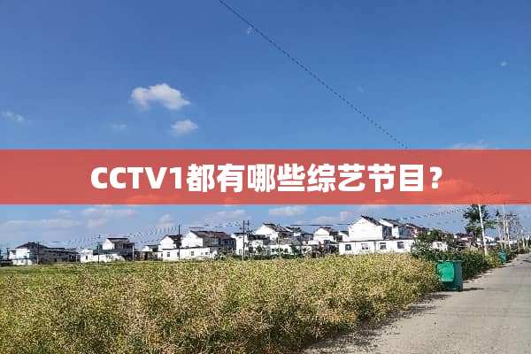 CCTV1都有哪些综艺节目？