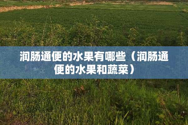 润肠通便的水果有哪些（润肠通便的水果和蔬菜）