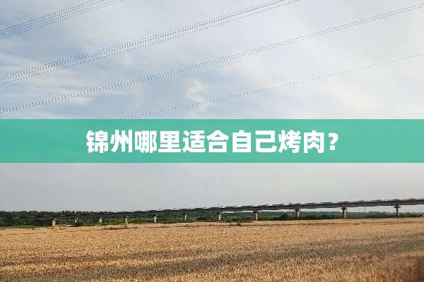 锦州哪里适合自己烤肉？