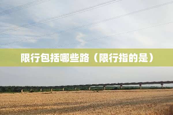 限行包括哪些路（限行指的是）