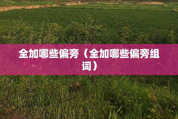全加哪些偏旁（全加哪些偏旁组词）