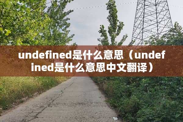 undefined是什么意思（undefined是什么意思中文翻译）