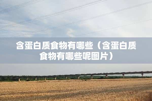 含蛋白质食物有哪些（含蛋白质食物有哪些呢图片）