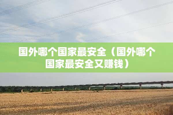 国外哪个国家最安全（国外哪个国家最安全又赚钱）