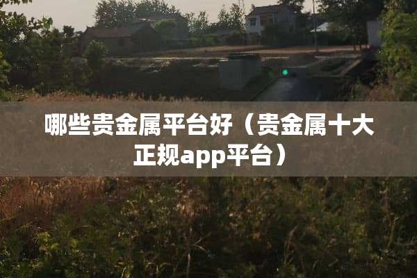 哪些贵金属平台好（贵金属十大正规app平台）
