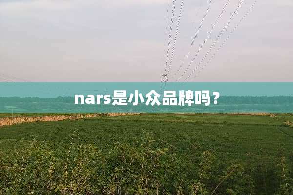 nars是小众品牌吗？