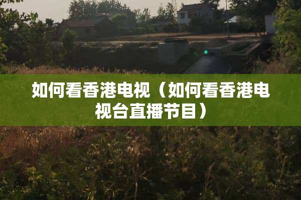 如何看香港电视（如何看香港电视台直播节目）