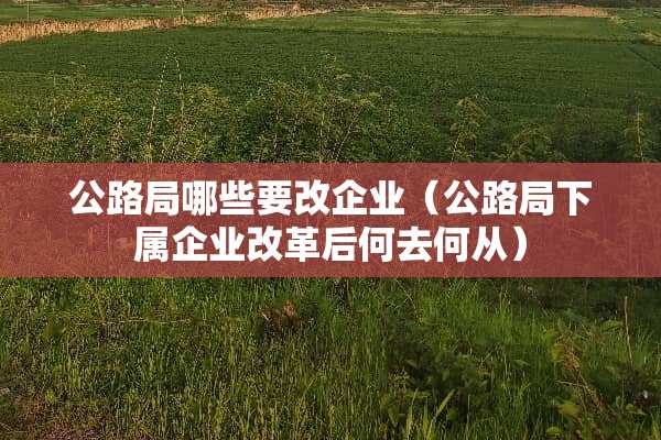公路局哪些要改企业（公路局下属企业改革后何去何从）