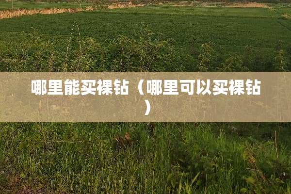 哪里能买*钻（哪里可以买*钻）