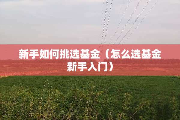 新手如何挑选基金（怎么选基金新手入门）