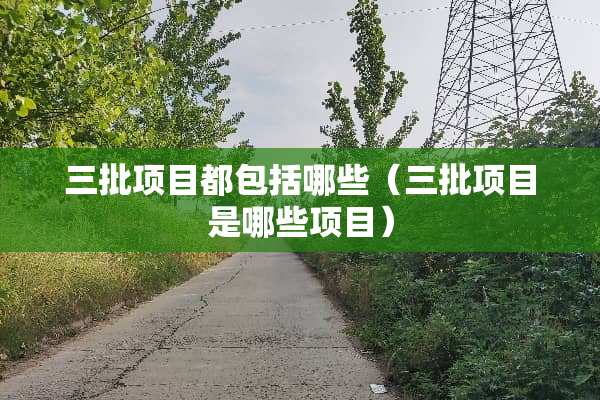 三批项目都包括哪些（三批项目是哪些项目）