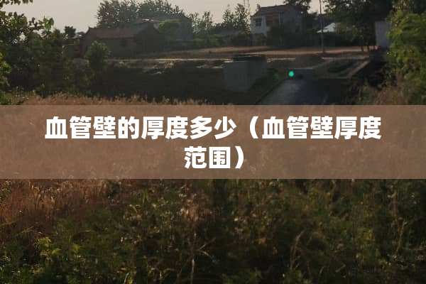 血管壁的厚度多少（血管壁厚度范围）