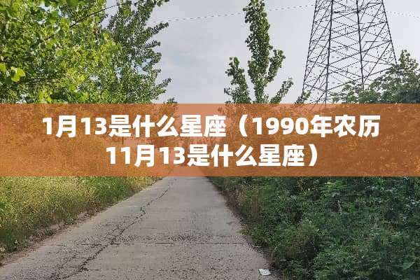 1月13是什么星座（1990年农历11月13是什么星座）