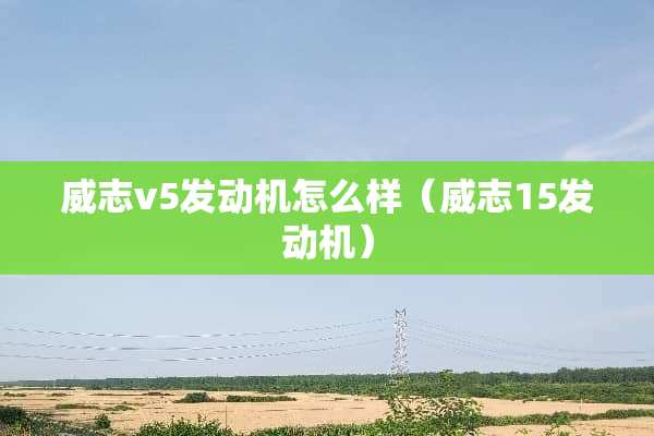 威志v5发动机怎么样（威志15发动机）