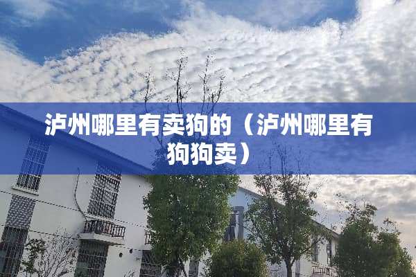 泸州哪里有卖狗的（泸州哪里有狗狗卖）