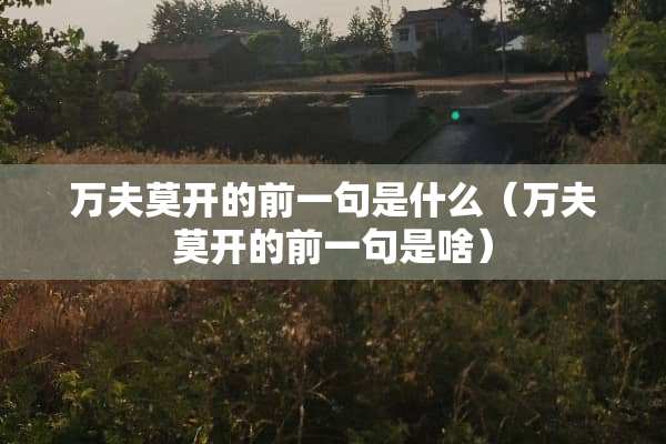 万夫莫开的前一句是什么（万夫莫开的前一句是啥）