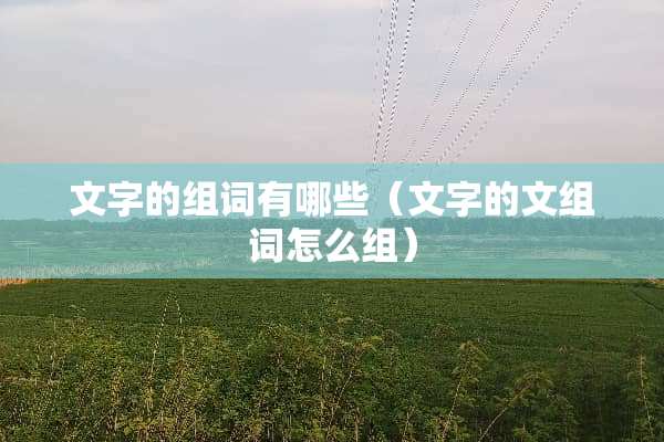 文字的组词有哪些（文字的文组词怎么组）
