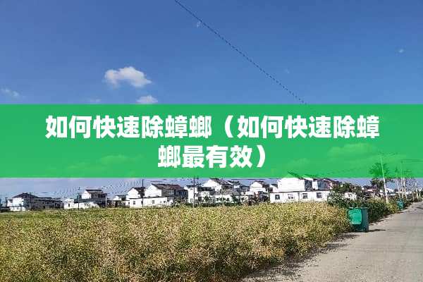 如何快速除蟑螂（如何快速除蟑螂最有效）