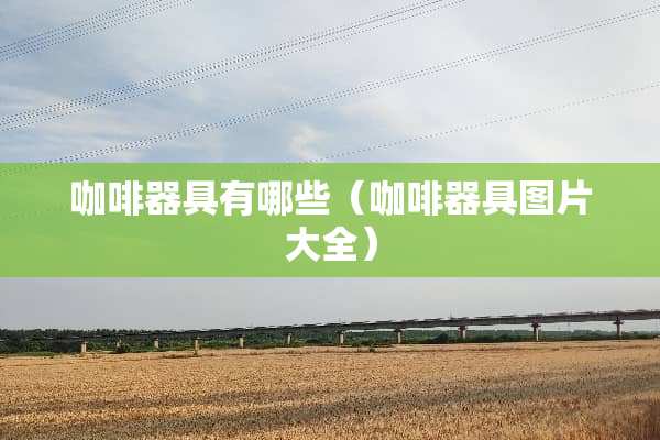 咖啡器具有哪些（咖啡器具图片大全）
