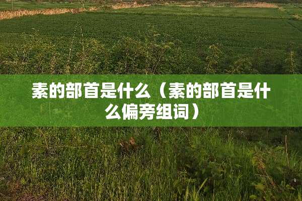 素的部首是什么（素的部首是什么偏旁组词）