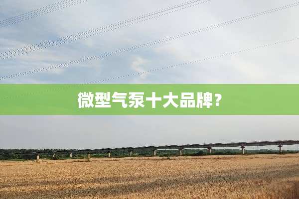 微型气泵十大品牌？