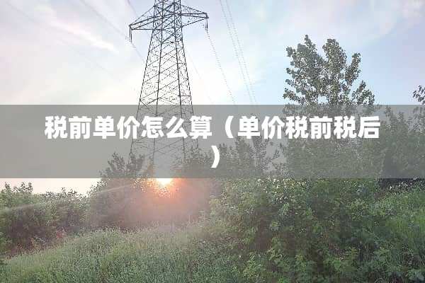 税前单价怎么算（单价税前税后）