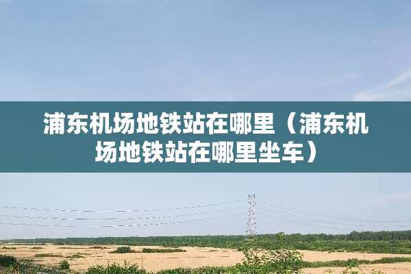 浦东机场地铁站在哪里（浦东机场地铁站在哪里坐车）