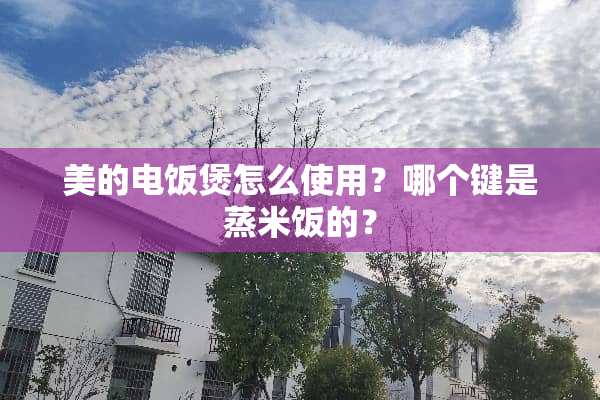 美的电饭煲怎么使用？哪个键是蒸米饭的？