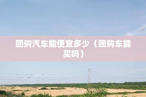 团购汽车能便宜多少（团购车能买吗）
