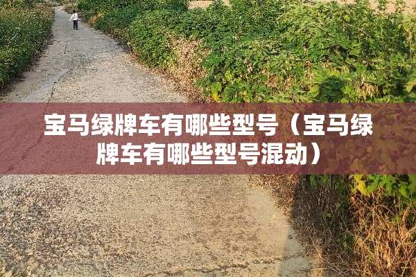 宝马绿牌车有哪些型号（宝马绿牌车有哪些型号混动）