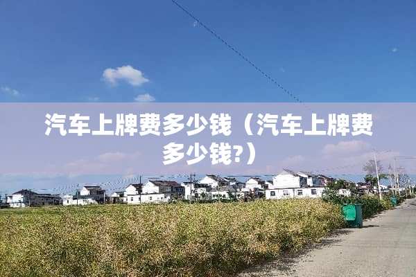 汽车上牌费多少钱（汽车上牌费多少钱?）