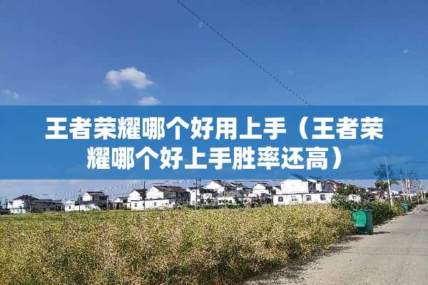 王者荣耀哪个好用上手（王者荣耀哪个好上手胜率还高）