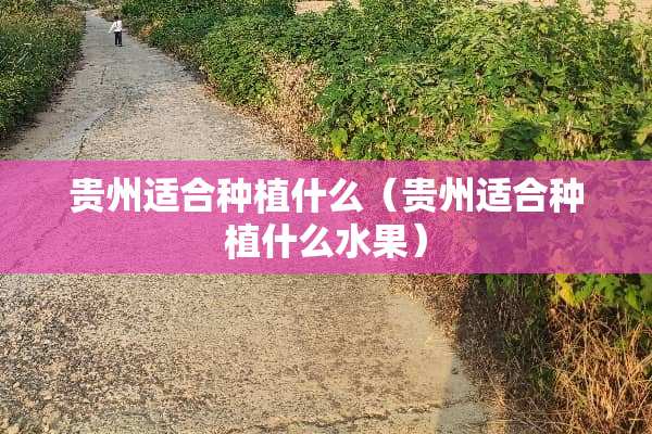 贵州适合种植什么（贵州适合种植什么水果）