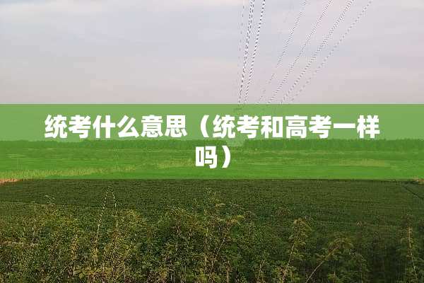 统考什么意思（统考和高考一样吗）