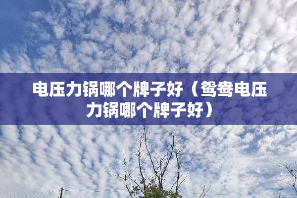 电压力锅哪个牌子好（鸳鸯电压力锅哪个牌子好）