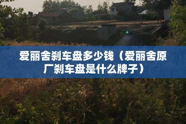 爱丽舍刹车盘多少钱（爱丽舍原厂刹车盘是什么牌子）