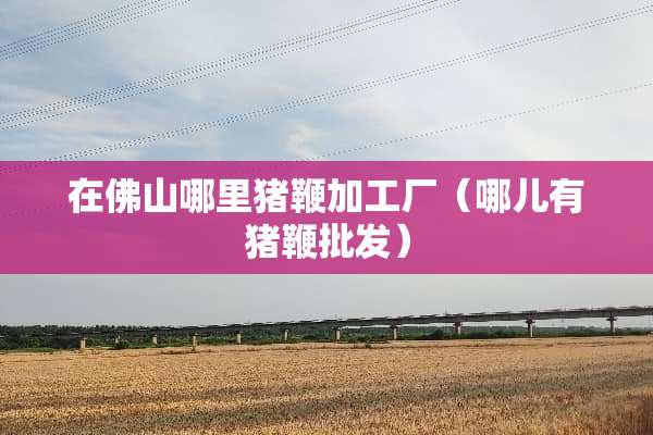 在佛山哪里猪鞭加工厂（哪儿有猪鞭批发）