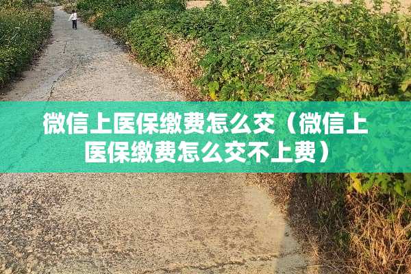 微信上医保缴费怎么交（微信上医保缴费怎么交不上费）