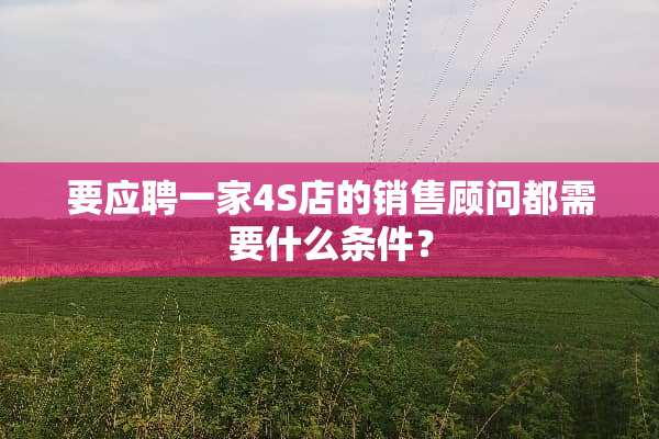 要应聘一家4S店的销售顾问都需要什么条件？