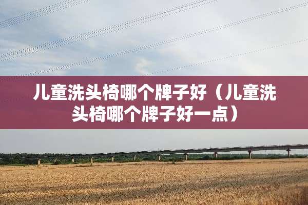 儿童洗头椅哪个牌子好（儿童洗头椅哪个牌子好一点）