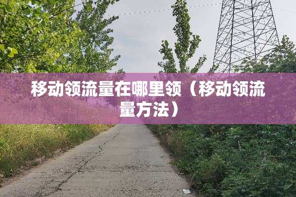 移动领流量在哪里领（移动领流量方法）