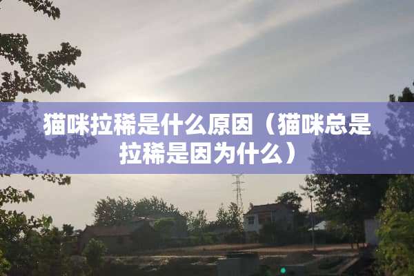 猫咪拉稀是什么原因（猫咪总是拉稀是因为什么）