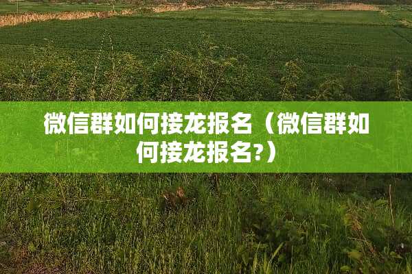 微信群如何接龙报名（微信群如何接龙报名?）