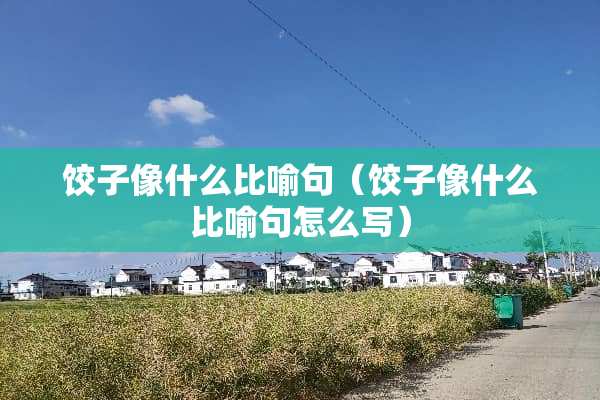 饺子像什么比喻句（饺子像什么比喻句怎么写）