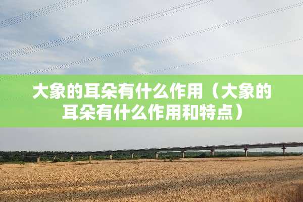 大象的耳朵有什么作用（大象的耳朵有什么作用和特点）