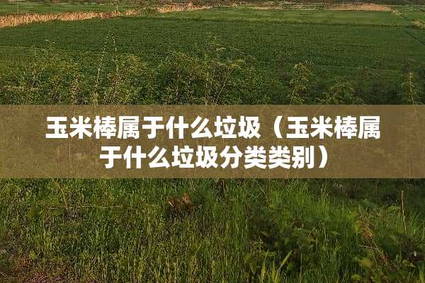 玉米棒属于什么垃圾（玉米棒属于什么垃圾分类类别）