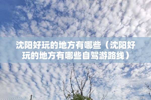 沈阳好玩的地方有哪些（沈阳好玩的地方有哪些自驾游路线）