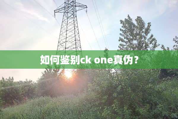 如何鉴别ck one真伪？